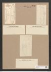 Amphora robusta Greg. (de-Toni-Nr.: Genus 36, Species 1634) Zeichnungen Sammlung Grunow Nr. 3115 (NHMW-BOT-W0370541)